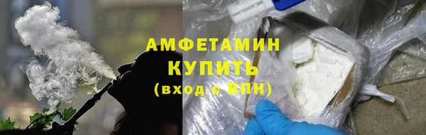 прущие грибы Балахна