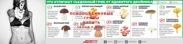 прущие грибы Балахна