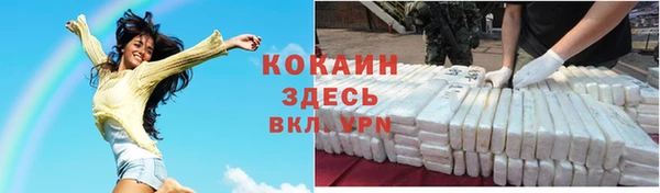 прущие грибы Балахна