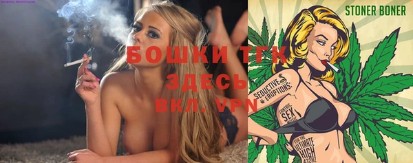 прущие грибы Балахна