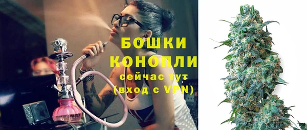 прущие грибы Балахна